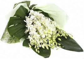 Mother's Day Singapore Orchid Bouquet